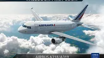  projecting Airbus’ brand and image in the computer simulation market