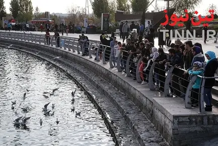 تهران؛ میزبان «پرندگان سیبری»