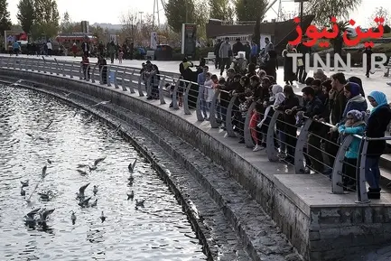 تهران؛ میزبان «پرندگان سیبری»