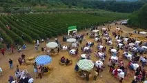 عقیم ماندن گردشگری روستاهای جهانی بدون روابط قدرتمند بین المللی