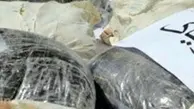 کشف بیش از 8 کیلو گرم مواد مخدر در 2دستگاه اتوبوس  در قزوین