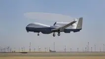 غول امریکایی در یک نگاه 