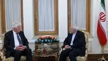 وزیر مشاور دولت هلند با ظریف دیدار کرد
