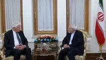 وزیر مشاور دولت هلند با ظریف دیدار کرد
