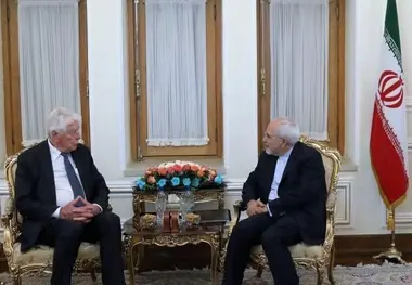 وزیر مشاور دولت هلند با ظریف دیدار کرد
