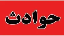 جان باختگان سانحه بوئینگ 737 وارش بازنشسته بودند/ درخواست توجه به حقوق پرسنل فنی هوانوردی در دوران بازنشستگی