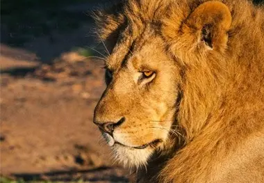 Africa, 2nd fastest growing tourism region in the world
