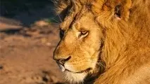 Africa, 2nd fastest growing tourism region in the world