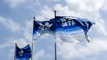 DSNA and IATA to Cooperate on French ATM Strategy 