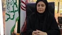 انتشار فراخوان واگذاری تاکسی‌ های «آیون» در تهران

