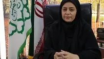 فعالیت تاکسی های برقی جدید پایتخت در خطوط پرتقاضا و محدوده طرح ترافیک
