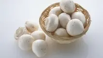 صادرات قارچ به روسیه نیازمند تخصیص یارانه حمل ونقل