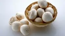 صادرات قارچ به روسیه نیازمند تخصیص یارانه حمل ونقل