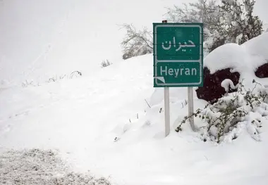 بارش 40 سانتیمتری برف در گردنه حیران