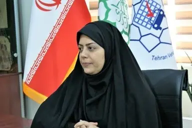 ۴ خودروی برقی از سوی وزارت کشور مجوز پلاک تاکسی گرفتند