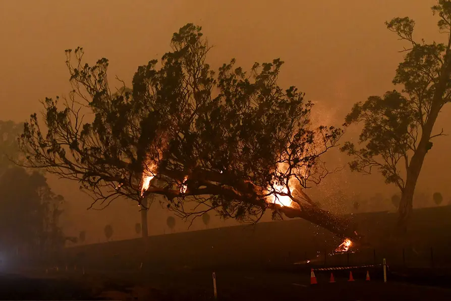 وقوع ۲۴۰ مورد آتش‌سوزی در ۱۱ استان کشور