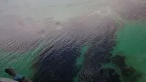 تکذیب آلودگی نفتی چابهار