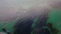 تکذیب آلودگی نفتی چابهار