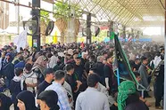 آمادگی کامل ناوگان حمل‌ ونقل برای مدیریت سفرهای برگشت اربعین