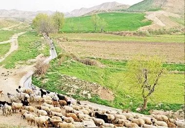 کاستان؛ روستایی با چشمه‌هایی افسونگر