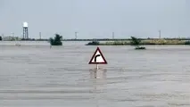 سیل در نیوزیلند