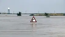 سیل در نیوزیلند