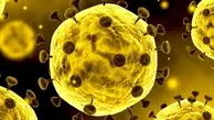 اطلاعیه وزارت بهداشت درباره ویروس کورونای جدید| مورد مشکوکی در ایران گزارش نشده است