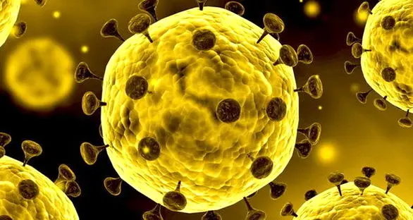 اطلاعیه وزارت بهداشت درباره ویروس کورونای جدید| مورد مشکوکی در ایران گزارش نشده است