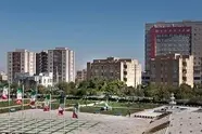 احیای محورهای ورودی تبریز-سهند با کاشت ۳۸۰۰ درخت