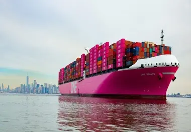 کاهش مصرف سوخت کشتی های بزرگ با پروانه هایی از جنس پوست دلفین