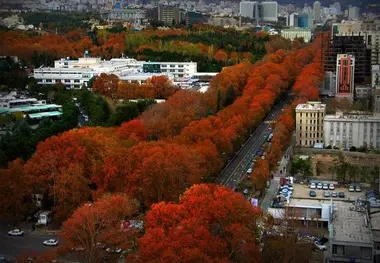 آخرین خبر از ثبت جهانی خیابان ولیعصر(عج) پایتخت