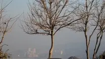 تداوم آلودگی هوای تهران تا چهارشنبه