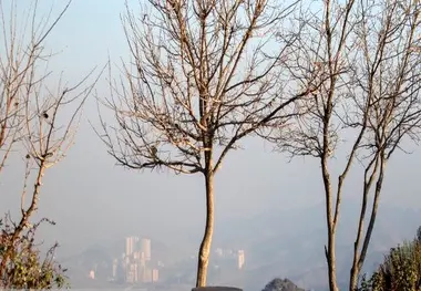 هوای مشهد برای پنجمین روز متوالی آلوده است