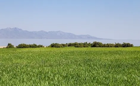 دریاچه اروميه