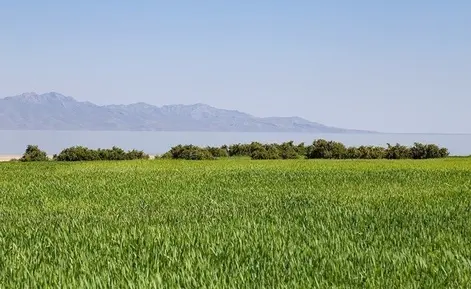 دریاچه اروميه