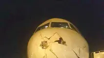 به دنبال تکنولوژی جدید برای برخورد با پرندگان فرودگاه هستیم