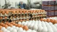 عرضه تخم مرغ با قیمت شانه‌ای ۳۴۰۰۰ تومان آغاز شد
