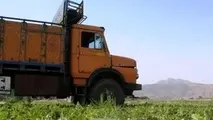 آواز دهل کامیوندار بودن از دور خوش است!