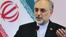 جمهوری اسلامی باید کاری کند که در افکار عمومی جهان بحث فلسطین تبدیل به نزاع اسرائیلی - ایرانی نشود بلکه این یک جدال بین رژیم صهیونیستی اشغالگر با فلسطینیان صاحب حق است