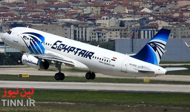 وجود دود در هواپیمای مصری تایید شد