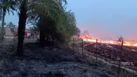 آتش سوزی ۱۲ کیلومتر از درختان حاشیه جاده شوش مهار شد