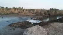 در غبار تهران اثری از آرسنیک یا سانور نیست