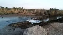 در غبار تهران اثری از آرسنیک یا سانور نیست