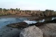 در غبار تهران اثری از آرسنیک یا سانور نیست