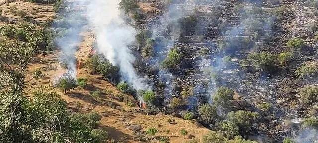 آتش سوزی "خائیز" و "دیل" کهگیلویه و بویراحمد همچنان ادامه دارد