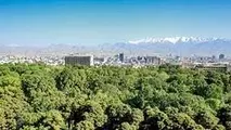 
افتتاح‌های تهران به کما رفت؟
