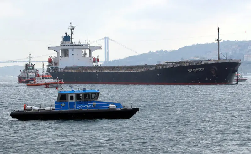 Bosporus Strait Bulker Crash Hits Barley Supply to Top Buyer