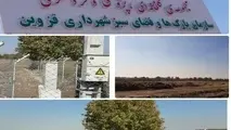 نخستین مجتمع گلخانه ای  قزوین احداث می شود