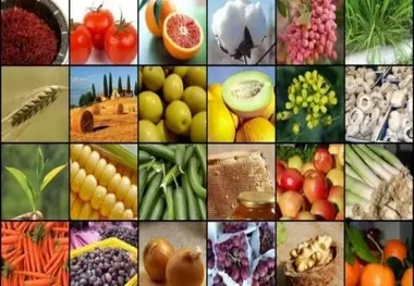 Iran among top ten states in producing agricultural products
