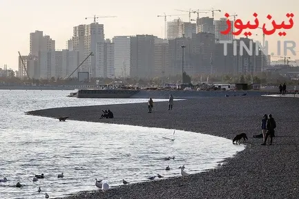 تهران؛ میزبان «پرندگان سیبری»
